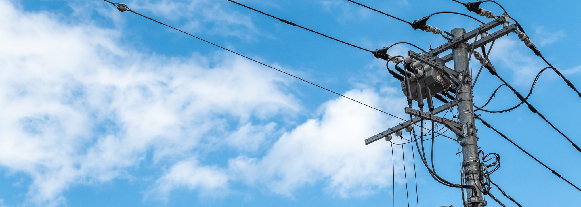 地域の日常を灯す、かけがえのない仕事